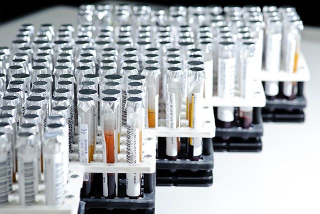 Trays of test tubes