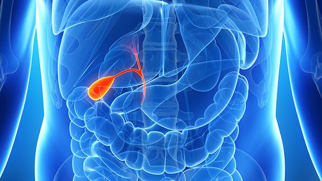 Illustration showing the gallbladder inside the body