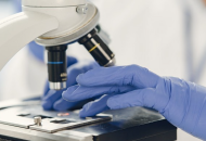 Close-up of gloved hands on a microscope