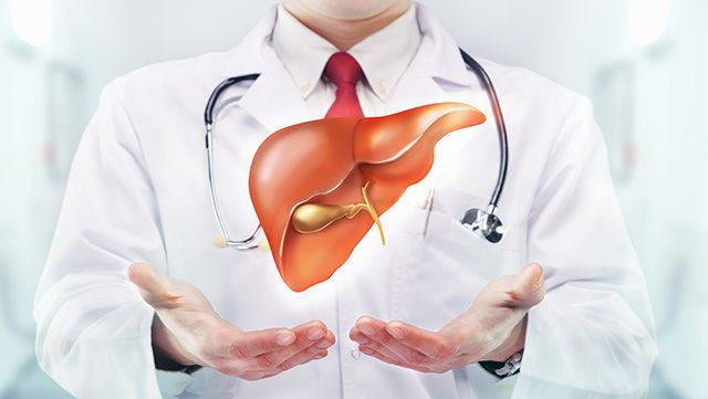 Doctor with open palms holding an illustration of a liver